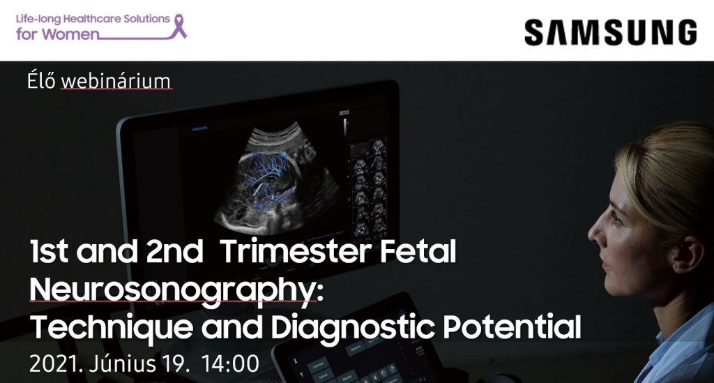 1st and 2nd Trimester Fetal Neurosonography: Technique and Diagnostic Potential